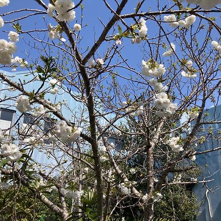 Narita Airport Samurai Hostel Kujukuri Εξωτερικό φωτογραφία